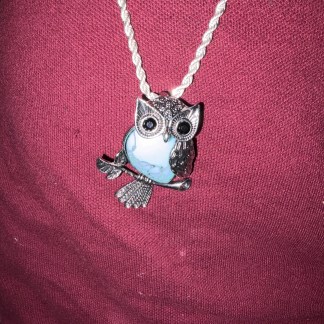 Silver Rope Turquoise Owl Pendant