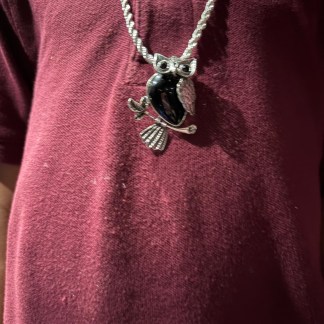 Silver Rope Chain with Obsidian Owl Pendant